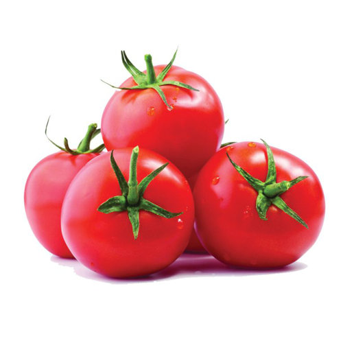 بندورة